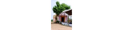 கத்தாங்கண்ணி